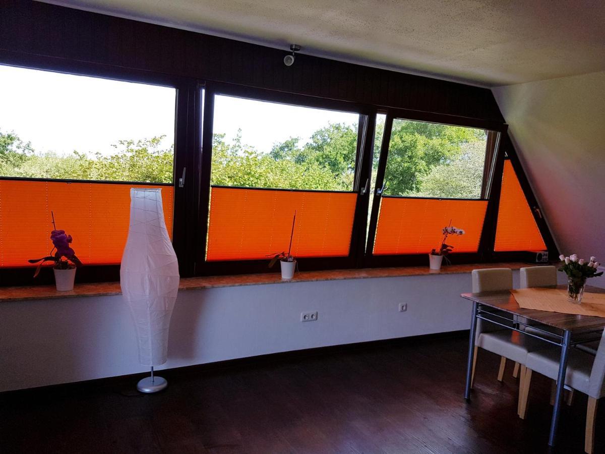 Kleine Nixe Seestern Cuxhaven Luaran gambar