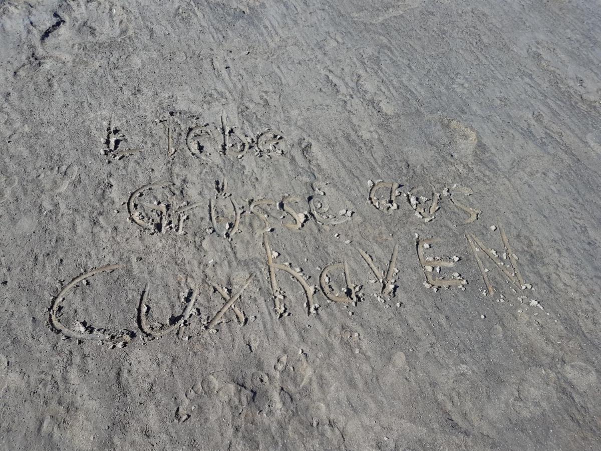 Kleine Nixe Seestern Cuxhaven Luaran gambar