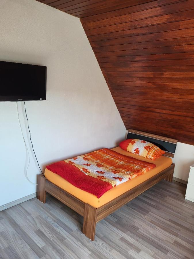 Kleine Nixe Seestern Cuxhaven Luaran gambar